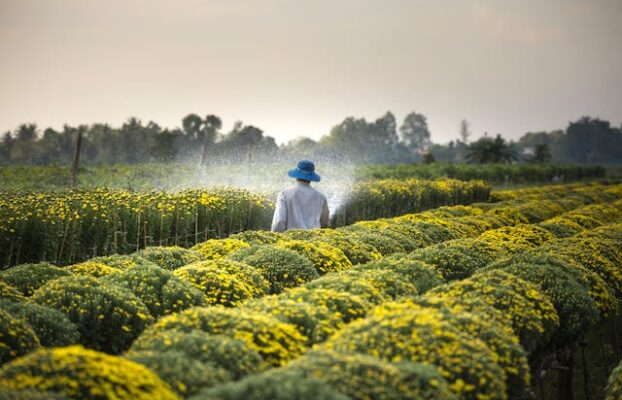 Agrovoltaica: Cómo la agricultura y la energía solar se unen